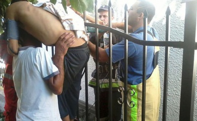 На Буковині чоловік впав з дерева на металевий паркан - пробив руку (ФОТО)