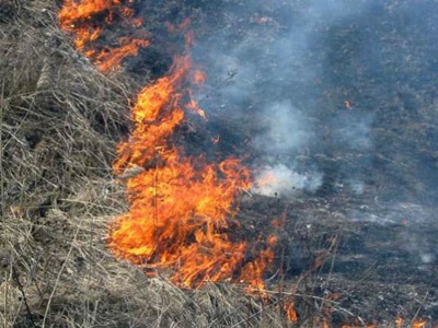 У селі на Буковині загорілася суха трава - постраждала жінка
