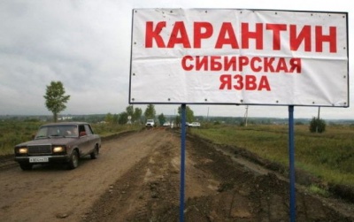 На Ямалі через сибірську виразку госпіталізовано вже 90 осіб