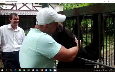 Власник ведмедя з Кельменців заперечив, що тварина голодує та потребує допомоги