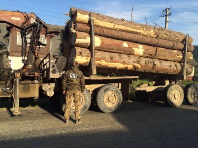 На Буковині затримали вантажівку з деревиною із підробленими документами (ФОТО)