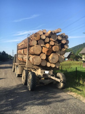 На Буковині затримали вантажівку з деревиною із підробленими документами (ФОТО)