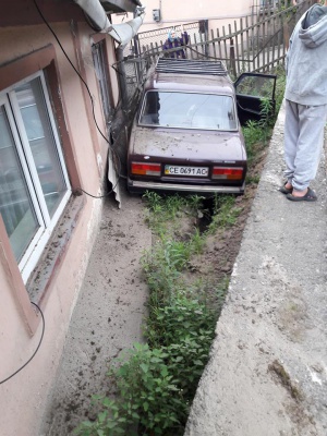 У Чернівцях водій "Жигулів" злетів з дороги через собаку, що перебігав вулицю (ФОТО)