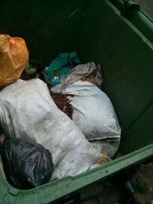 Фірма депутата Чернівецької міськради трактором вивозила сміття у контейнери сусідам (ФОТО)