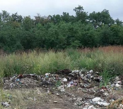Екоінспекція порахувала шкоду від висипаного сміття в Іванківцях