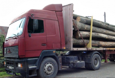 На Буковині затримали вантажівку з нечіпованим лісом