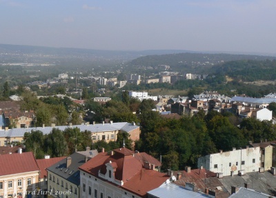 Про Чернівці в старих фото. Weinberg (Винна гора, "Аврора").