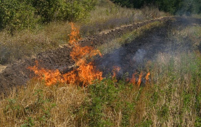 Буковинців застерігають від спалювання сухої трави