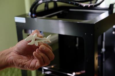 У Чернівцях у бібліотеці з’явився 3D-принтер, на якому безкоштовно можна надрукувати іграшки (ВІДЕО)