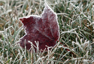 В Україну прийшло похолодання - місцями прогнозують заморозки