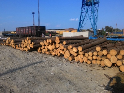 Через кордон на Буковині везли 60 кубів лісу за підробленими документами