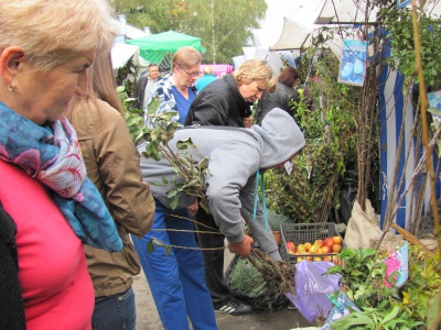 У Чернівцях на ярмарку продають інжир та маракуйю (ФОТО)