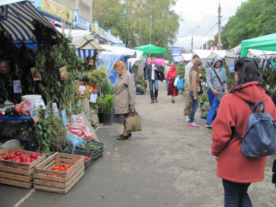 У Чернівцях на ярмарку продають інжир та маракуйю (ФОТО)