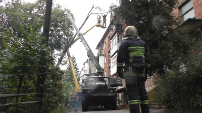 У Чернівцях вітер повалив дерево на багатоповерхівку (ФОТО)