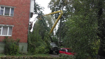 У Чернівцях вітер повалив дерево на багатоповерхівку (ФОТО)