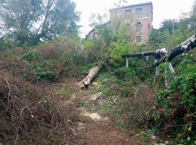 Сміття від фірми депутата: непотріб скинули трактором у центрі Чернівців (ФОТО)