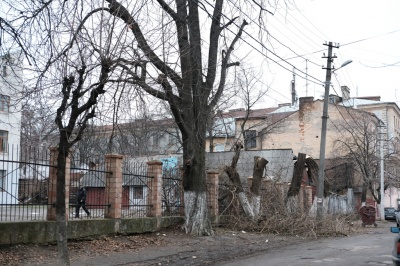 У Чернівцях на Гребінки зрубали дерева – кажуть, що є дозвіл (ФОТО)