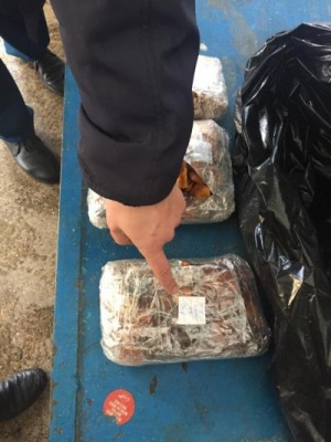 Буковинець на кордоні приховав 5 кілограмів бурштину (ВІДЕО)