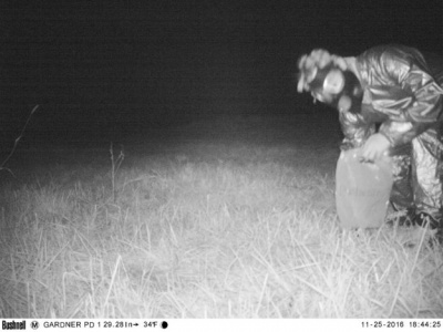 Поліцейські встановили камеру нічного бачення, щоб зловити лева, а отримали шоу - фото