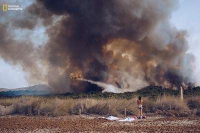 Світлини, що вражають: National Geographic обрав найкращого фотографа року(ФОТО)