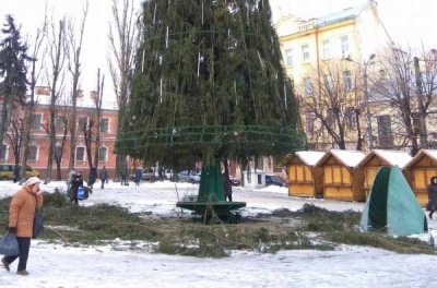 У Чернівцях почали прикрашати головну ялинку міста (ФОТО)