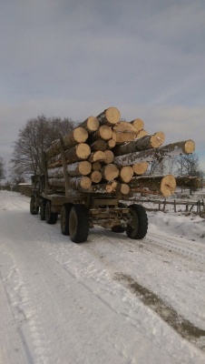 У Чернівецькій області СБУ затримала вантажівку, що незаконно перевозила деревину