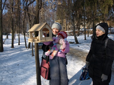 «Постійно маю в сумці зерно»: чернівчанка розповіла про свою традицію годувати птахів у парках (ФОТО)