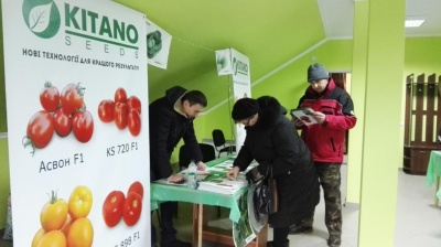 Kitano Seeds: відкриваємо нові горизонти (на правах реклами)