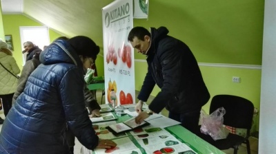 Kitano Seeds: відкриваємо нові горизонти (на правах реклами)