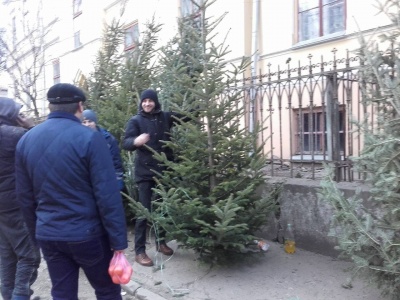 На ринках Чернівців - раптовий дефіцит ялинок (ФОТО)