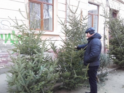 На ринках Чернівців - раптовий дефіцит ялинок (ФОТО)