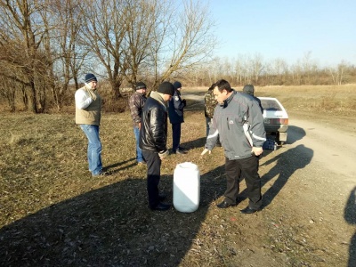 Туристам заборонили відвідувати озеро на Буковині, де масово гинуть лебеді