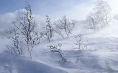 Буковину попереджають про сильний сніг і хуртовини