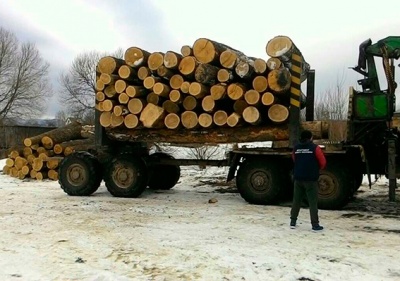 На Буковині поліція попередила вивезення кругляка дуба на 300 тисяч гривень