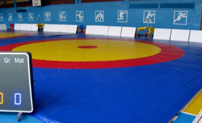  Буковинські борці  відзначилися на міжнародному турнірі у Молдові