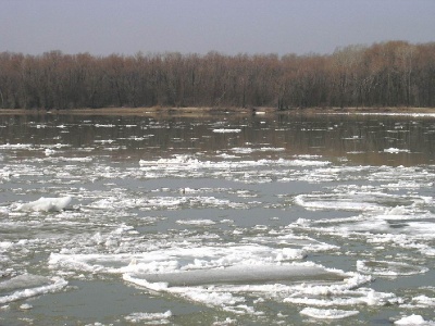 На Дністрі, Пруті та Сіреті очікується підйом води