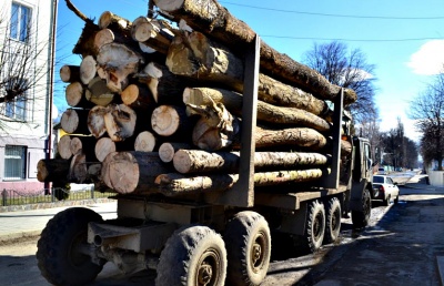 На Буковині знову затримали лісовоз з нечіпованою деревиною
