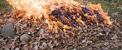 Обшанський попереджає: спалювати сміття у Чернівцях заборонено