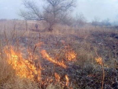 На Буковині горять гектари трави – вогонь загрожує хатам і лісу