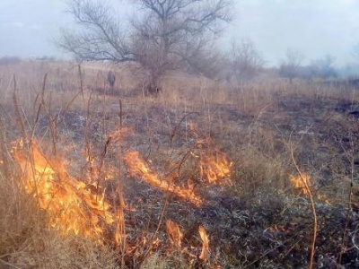 Спалювання трави може викликати ракові захворювання, - екологи