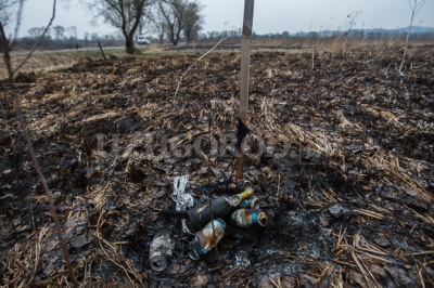 На Закарпатті згоріла знаменита Долина нарцисів (ФОТО)