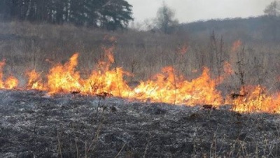 Через спалювання сухої трави у двох селах на Буковині ледь не загорілися будівлі