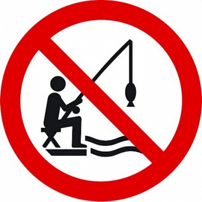 На водоймах Буковини заборонили риболовлю