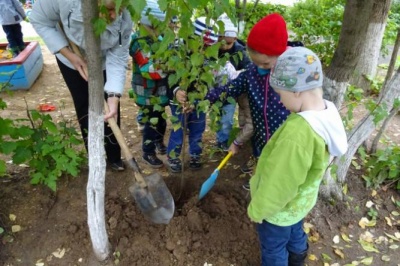 У Чернівцях дітей з батьками запрошують садити дерева