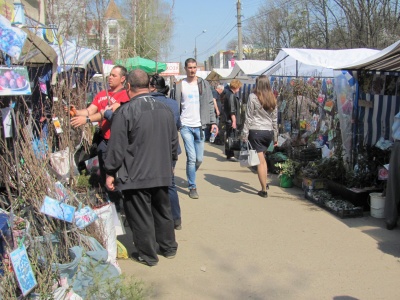 Повстяна вишня і малина Ляшка: у Чернівцях відкрили виставку-ярмарок саджанців (ФОТО)