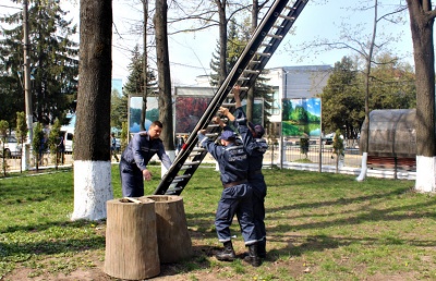 У райцентрі на Буковині кота 5 діб не могли зняти з дерева (ФОТО, ВІДЕО)