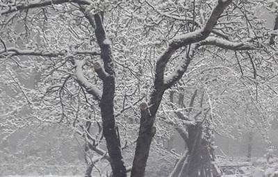 Околиці Чернівців і деякі райони Буковини засипало снігом (ФОТО)