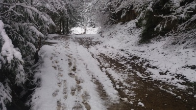 У Буковинських Карпатах продовжує сніжити: діти катаються на санах (ФОТО)