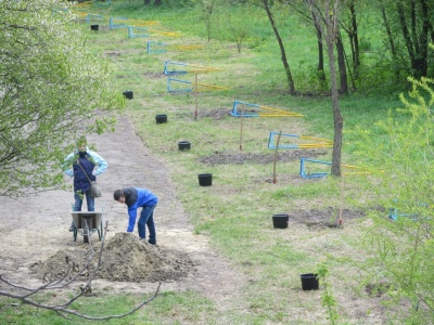 У найбільшому парку Чернівців висадили молоді дуби в пам'ять про загиблих на Сході буковинців (ФОТО)