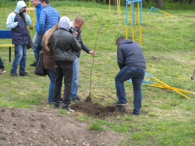 У найбільшому парку Чернівців висадили молоді дуби в пам'ять про загиблих на Сході буковинців (ФОТО)